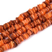 Natural Freshwater Shell Beads Strands, Dyed Coral, 155-165pcs