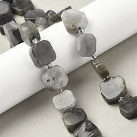 Brins de perles de labradorite naturelle avec perles de semence, 28-29pcs