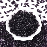 Transparent Colours Glass Seed Beads, Oval Indigo, 9x4mm