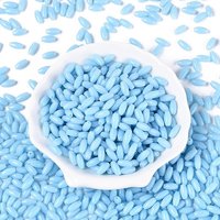 Opaque Colours Glass Seed Beads, Oval, Light Sky Blue, 9x4mm