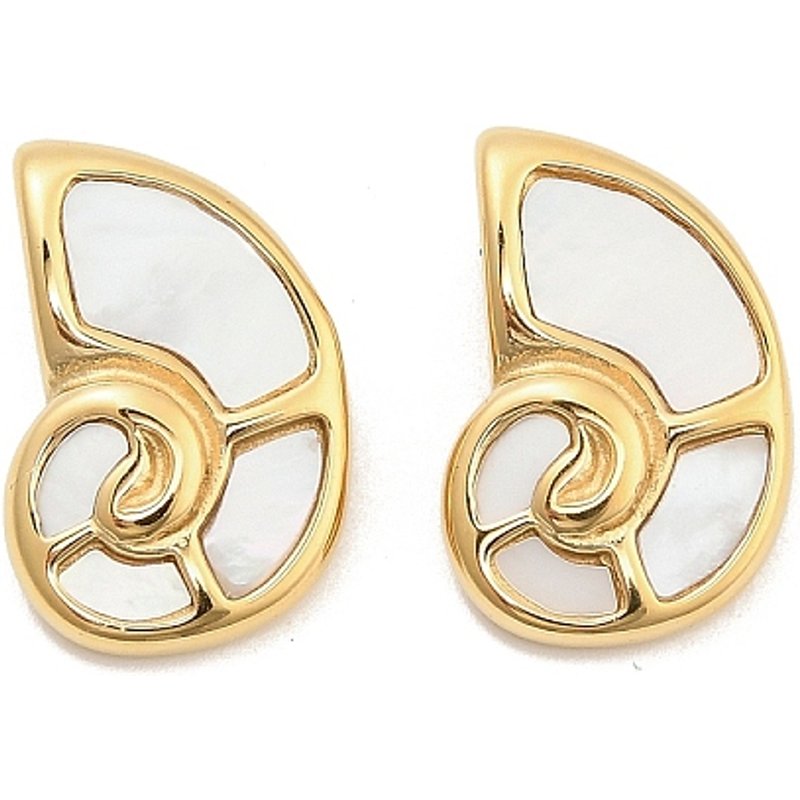 Natural White Shell Conch Charms with Stainless Steel Settings — Charms & Pendants
