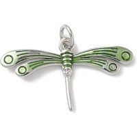 Insect Themes Dragonfly Brass Enamel Pendant with Jump Ring