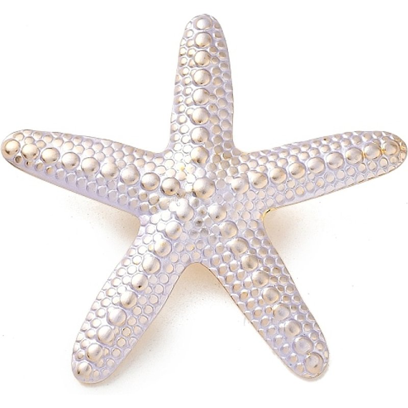 Pendentif Étoile de Mer en Acier Inoxydable 304 avec Émail, 47x51mm — Breloques et pendentifs
