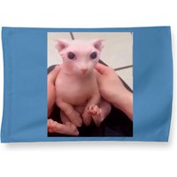 Bald Bingus Hairless Sphinx Cat House Flags