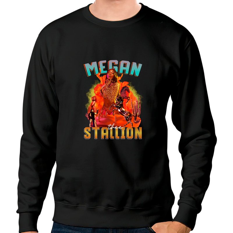 Megan Thee Stallion Sweatshirt Unisexe en Mélange Épais — Sweats à capuche pour hommes