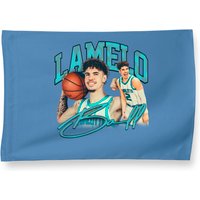 LaMelo Ball Vintage House Flags - Double-Sided Print — Decorative Flags