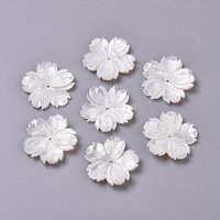 Perles de Coquillage Blanc Naturel, Mère de Perle, Sakura, 25x3mm — Perles à bijoux