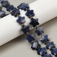 Brins de Perles Sodalite Naturelle en Étoile avec Perles de Semence