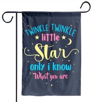 Twinkle Twinkle Little Star Gender Reveal Party Garden Flag — Decorative Flags