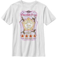 Harry Potter Chocolate Frogs T-Shirt