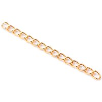 Allonges de chaîne en acier inoxydable 304, plaqué ioniquement, doré 47-53x3mm