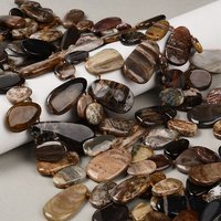 Brins de perles en bois pétrifié naturel, forme goutte, 13.5-41mm — Perles à bijoux