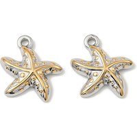 Pendentif Étoile de Mer en Acier Inoxydable Marine Organism, Couleur Or et Acier — Breloques et pendentifs