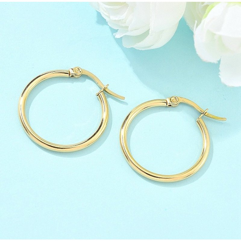 Ion Plating 304 Stainless Steel Hoop Earrings, Hypoallergenic — Hoop Earrings