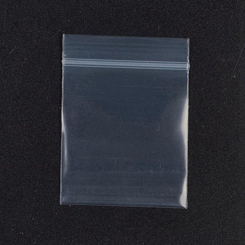 Sacs Zip Lock en Plastique pour Rangement de Bijoux, Resealables, 100pcs — Rangement et présentation