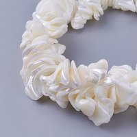 Brins de Perles en Coquillage Naturel, Nuggets, 16,25 pouces, Trou de 1,4 mm — Perles à bijoux