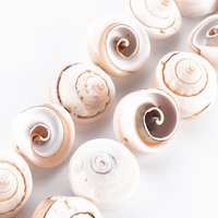 Natural Spiral Shell Bead Strands, Antique White, 15-18mm — Jewelry Beads