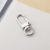 Alloy Swivel Clasps, Lanyard Push Gate Snap Clasps, Platinum — Jewelry Findings