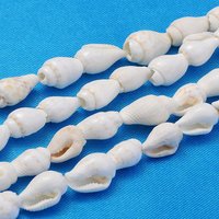 Fils de perles en coquillage naturel Trumpet, blanc, 6-13mm, trou 0.5-1mm