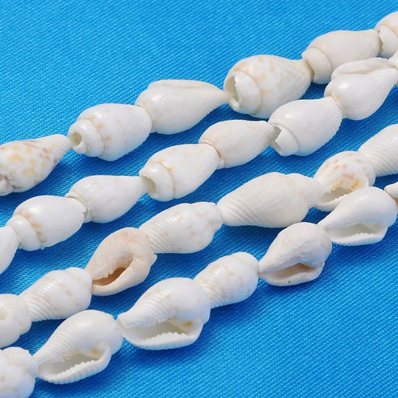 Natural Trumpet Shell Beads Strands, White, 6-13mm, 0.5-1mm Hole — Jewelry Beads