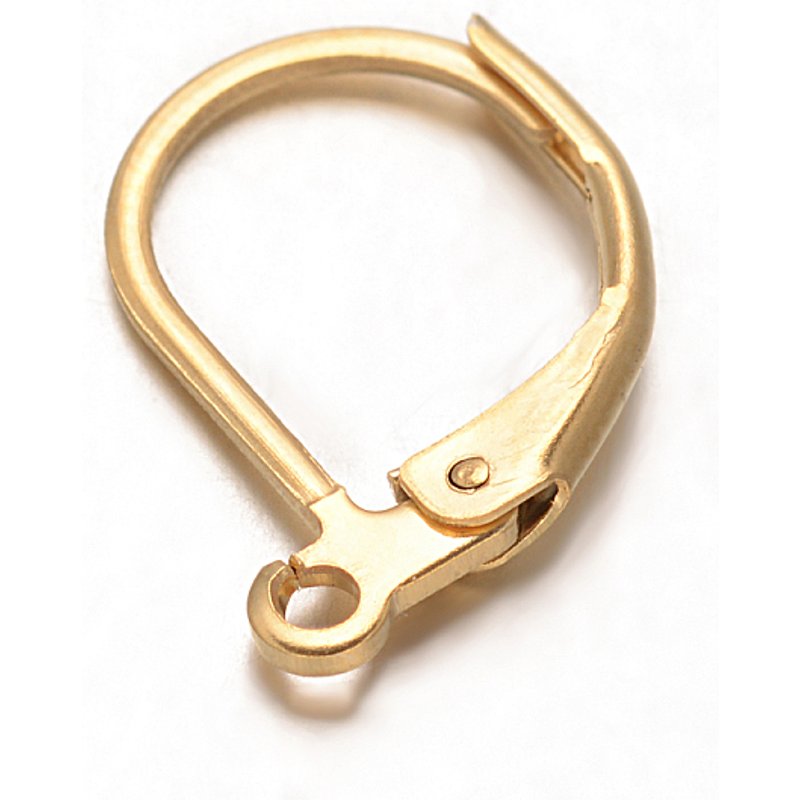 Trouvailles de boucles d'oreilles à crochet en acier inoxydable 304, dorées — Accessoires pour bijoux