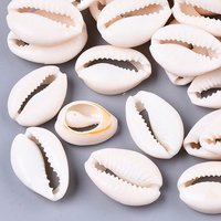 Perles de Coquillage Naturel, Non Perforées, Blanc Crème, 210pcs
