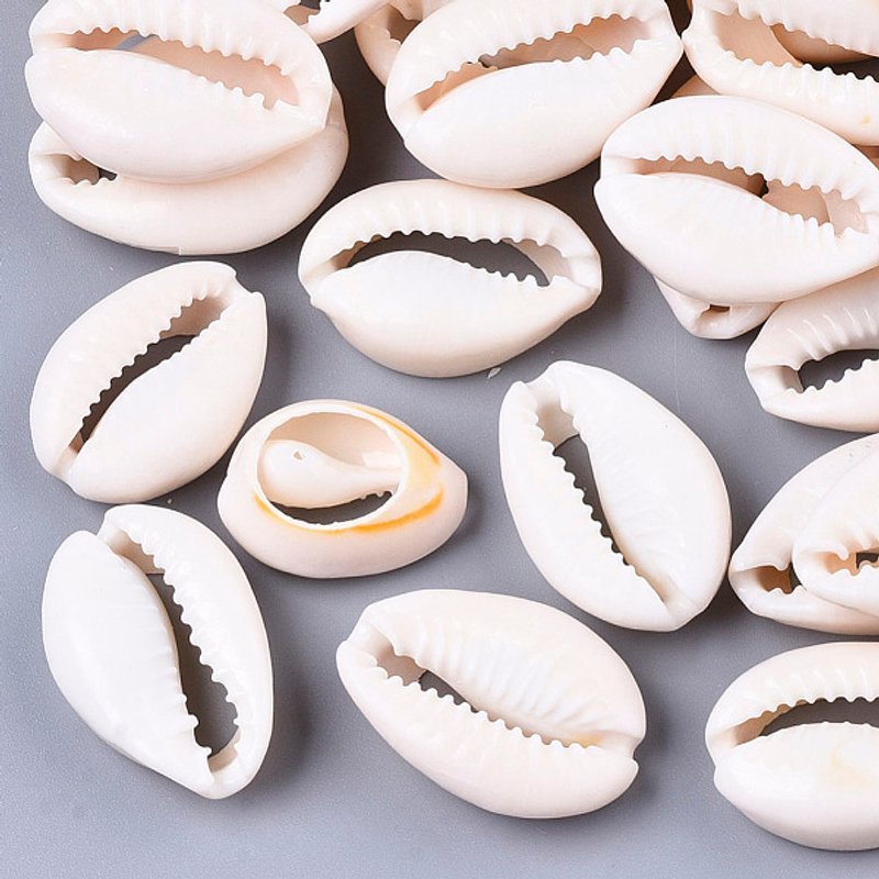 Perles de Coquillage Naturel, Non Perforées, Blanc Crème, 210pcs — Perles à bijoux