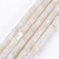 Natural Freshwater Shell Beads Strands, Column, Seashell Color — Jewelry Beads