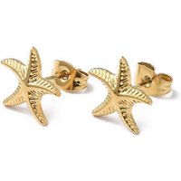 Boucles d'oreilles en acier inoxydable 304 en forme d'étoile de mer — Boucles D'oreilles