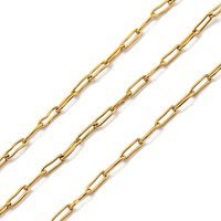 Ion Plating 304 Stainless Steel Paperclip Chains with Spool