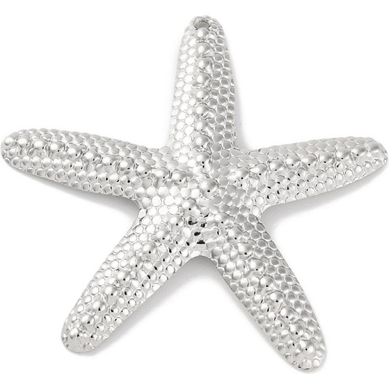 Pendentif Étoile de Mer en Acier Inoxydable 304 — Breloques et pendentifs