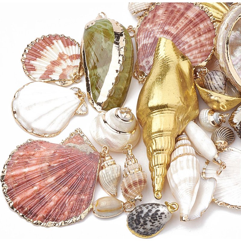 Pendentifs en Coquillage aux Couleurs Naturelles et Styles Variés — Breloques et pendentifs
