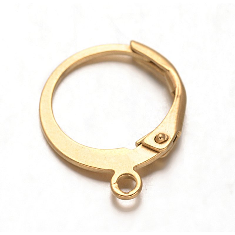 Trouvailles de Boucles d'Oreilles à Fermoir Levant en Acier Inoxydable 316L — Accessoires pour bijoux