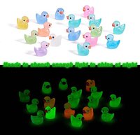 100 Pcs Luminous Mini Resin Ducks for Fairy Garden Decor — Wall Decor