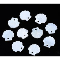 Natural Freshwater Shell Pendants with 1.6mm Hole — Charms & Pendants