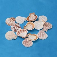 Perles de Coquillage Naturelles, Couleurs Mélangées, 90pcs — Perles à bijoux
