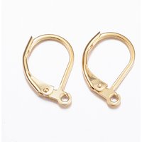 Trouvailles de boucles d'oreilles à fermoir levier en acier inoxydable 304, plaquées or — Accessoires pour bijoux