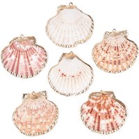 Pendentifs en Coquillage Électroplaqué avec Fixations en Fer en Or Clair — Breloques et pendentifs