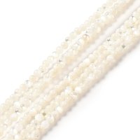 Natural White Shell Beads Strands, Round, 2mm, 199pcs/strand