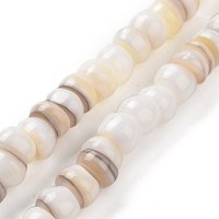 Natural Cultured Freshwater Shell Beads Strands, Goldenrod, 85pcs — Jewelry Beads