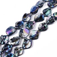 Brins de Perles en Coquillage d'Eau Douce, Plaqué Couleur AB, Noir, 19pcs