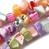Natural Trochid Shell Beads Strands, Dyed, Mixed Colors, 14.69-15.35 — Jewelry Beads