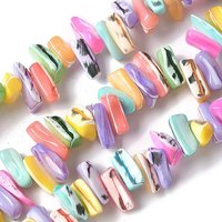 Dyed Natural Trochus Shell Beads Strands, Mixed Colors, 54-67pcs — Jewelry Beads