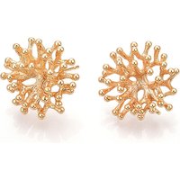 Trouvailles de clous d'oreilles en laiton avec boucle, sans nickel, plaquées or 18K — Accessoires pour bijoux