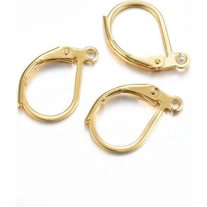 Trouvailles de boucles d'oreilles à fermoir en acier inoxydable 304, plaquées or — Accessoires pour bijoux