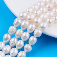 Natural Cultured Freshwater Pearl Beads Strands, Rice, Seashell Color
