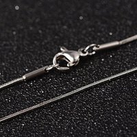Collier en Chaîne Serpentine en Acier Inoxydable 304 avec Fermoir — Collier pendentif