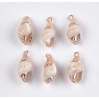 Pendentifs en Coquillage Spiral Électroplaqué avec Fixations en Fer Or Clair — Breloques et pendentifs