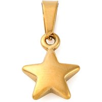 304 Stainless Steel Star Charm in Gold