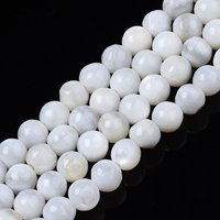 Natural Freshwater Shell Beads Strands, Dyed, Round, Seashell Color — Jewelry Beads